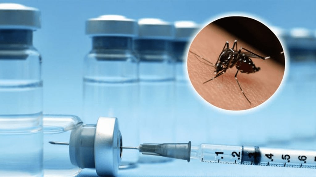Nova vacina contra dengue